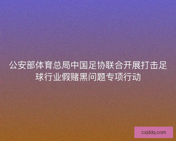 公安部体育总局中国足协联合开展打击足球行业假赌黑问题专项行动 公安部体育总局中国足协联合开展打击足球行业假赌黑问题专项行动
